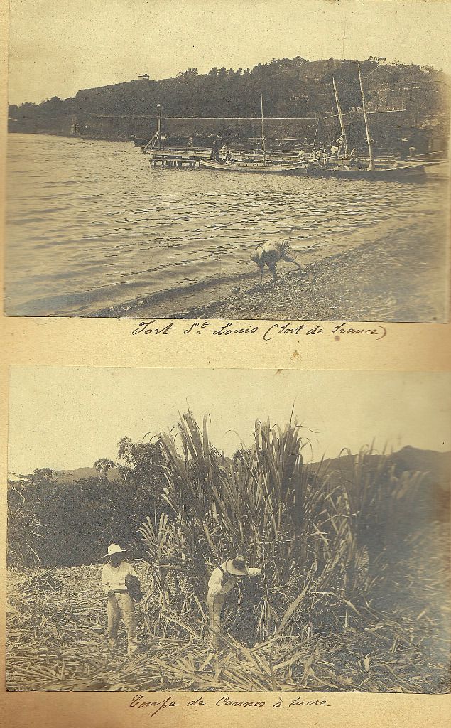 Marseille, le 09 Novembre 1904 : A mlles Sidonie et Alix, quelques souvenirs de mon voyage à la Martinique de Janvier à Octobre 1904 - Signé PAUL GERARD