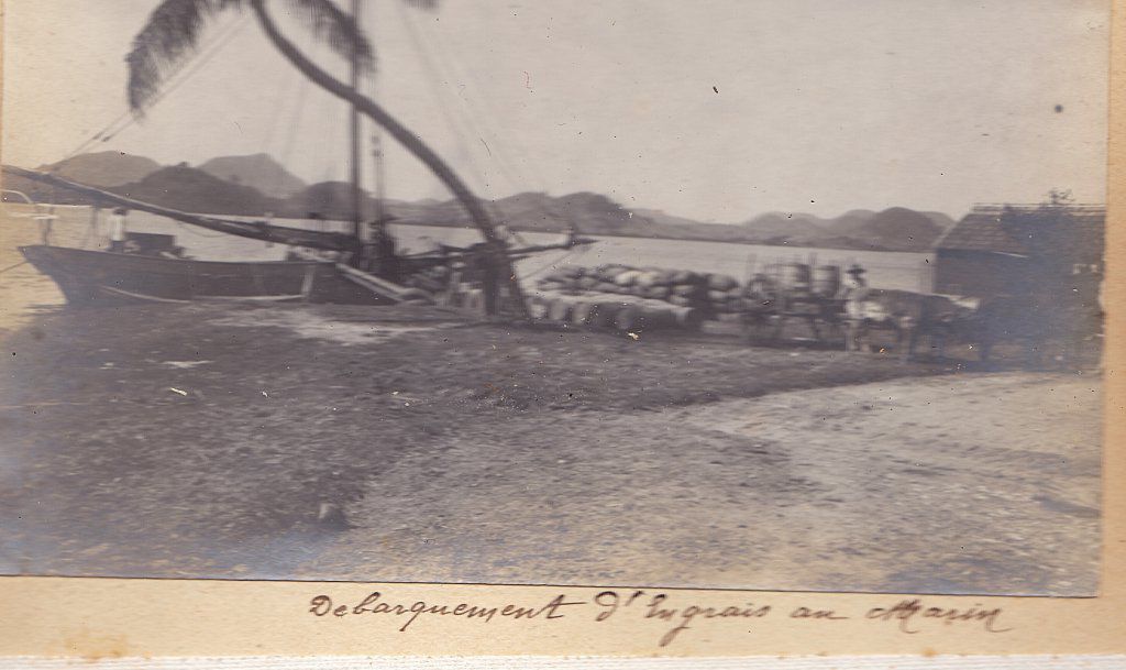 Marseille, le 09 Novembre 1904 : A mlles Sidonie et Alix, quelques souvenirs de mon voyage à la Martinique de Janvier à Octobre 1904 - Signé PAUL GERARD