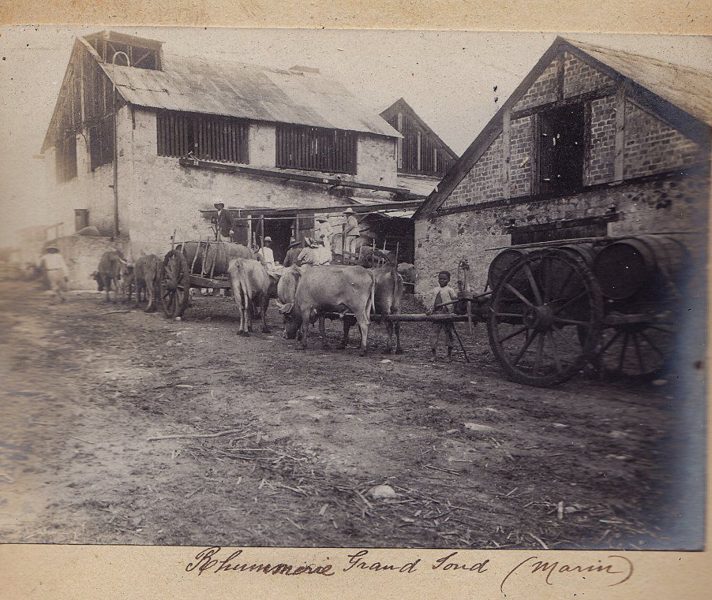 Marseille, le 09 Novembre 1904 : A mlles Sidonie et Alix, quelques souvenirs de mon voyage à la Martinique de Janvier à Octobre 1904 - Signé PAUL GERARD